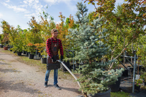 Best Tree Planting Services  in Point Pleasant Beach, NJ